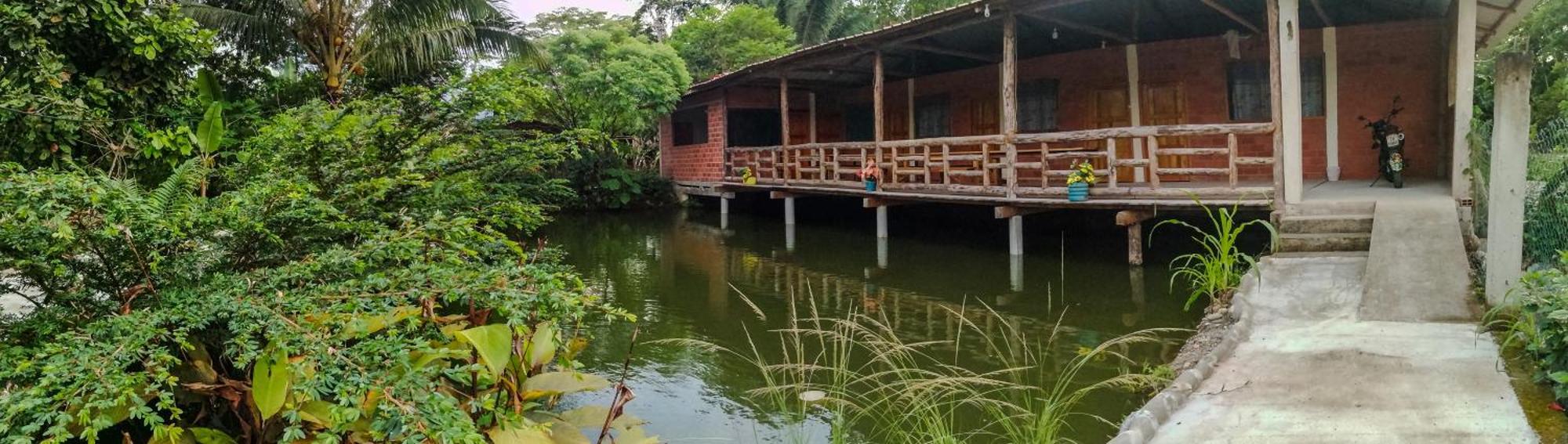 Yaku Wasi Lodge Puerto Misahuallí エクステリア 写真